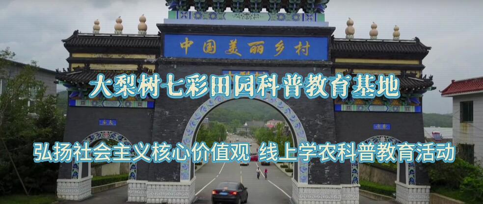 大梨樹七彩田園科普教育基地︱弘揚(yáng)社會主義核心價值觀開展線上學(xué)農(nóng)科普教育活動